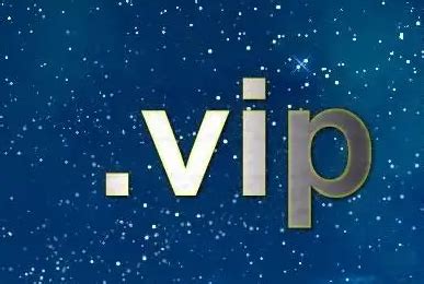 vip 意思|VIP是什么意思？